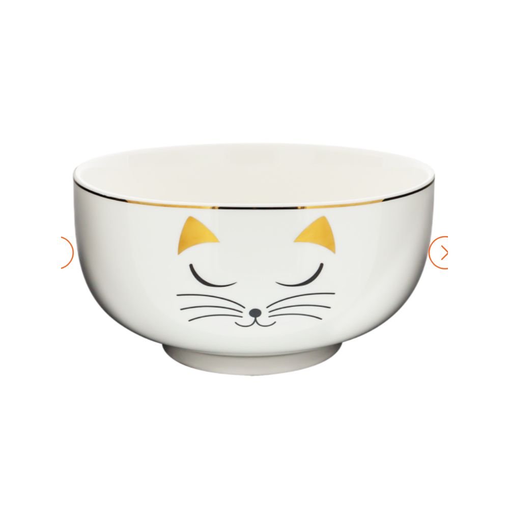 MATINAL SALADE - SALADIER EN PORCELAINE - WHITE CAT