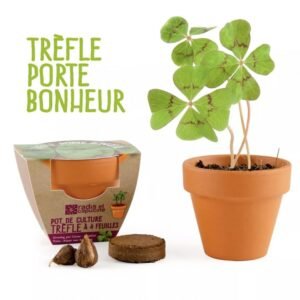 MINI KIT 6 CM TERRE CUITE TREFLE 4 FEUILLES