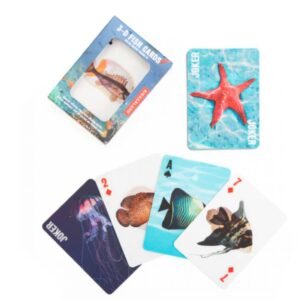 JEU DE CARTES 3D POISSON