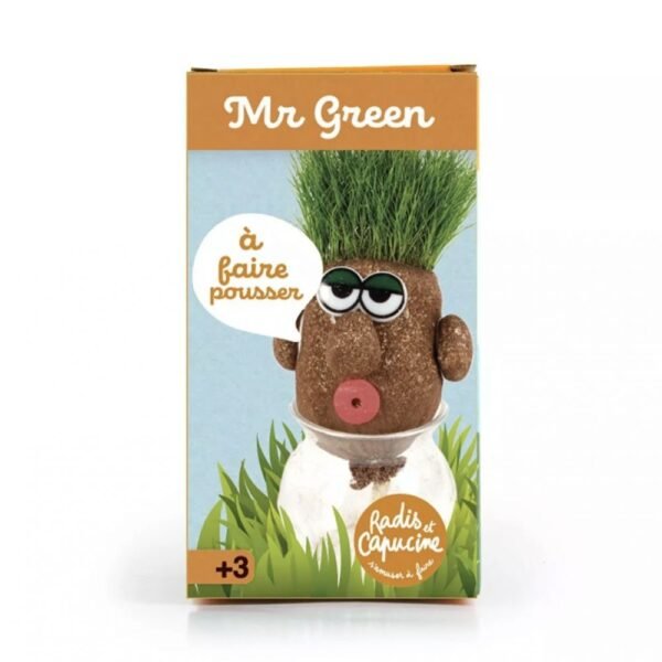MR GREEN - TÊTE A POUSSER AVEC GRAINES DE GAZON