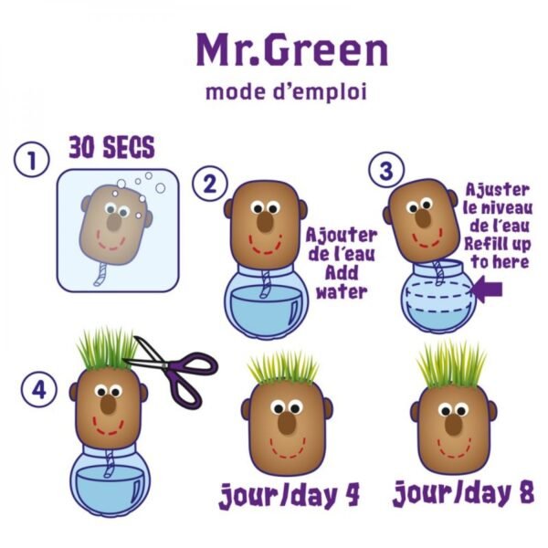 MR GREEN - TÊTE A POUSSER AVEC GRAINES DE GAZON – Image 3