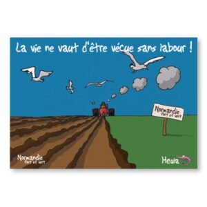 CARTE POSTALE - SANS LABOUR