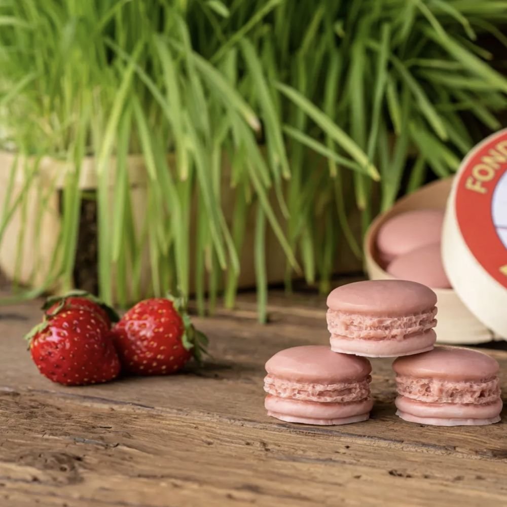 FONDANT PARFUMÉ 8 - RHUBARBE FRAISE