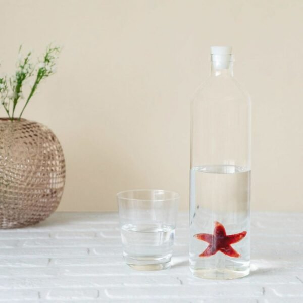 BOUTEILLE 1,2L - ETOILE DE MER – Image 2