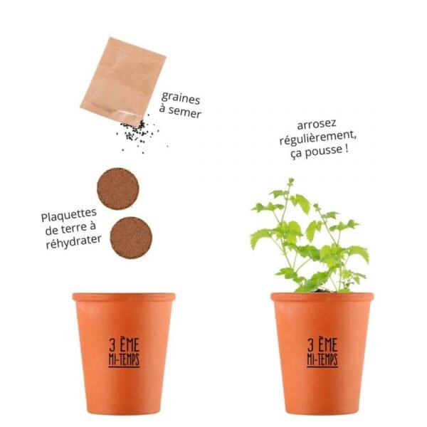 KIT 3EME MI-TEMPS - HOUBLON A PLANTER – Image 3