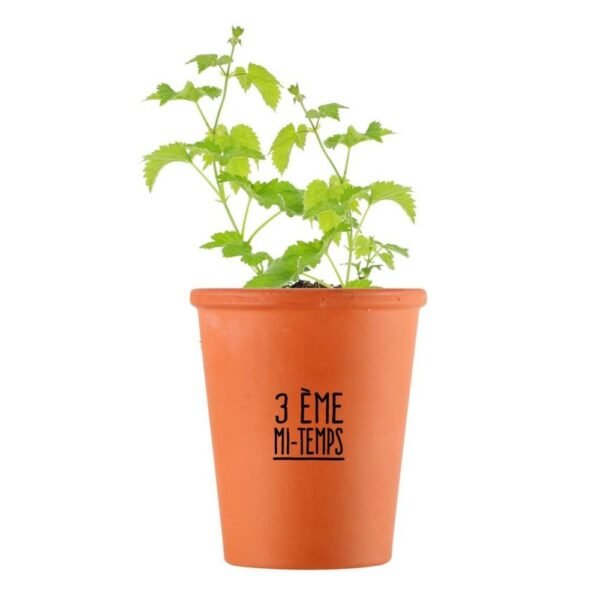 KIT 3EME MI-TEMPS - HOUBLON A PLANTER – Image 4