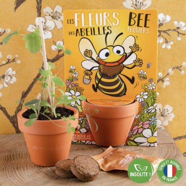 FLEURS DES ABEILLES A SEMER