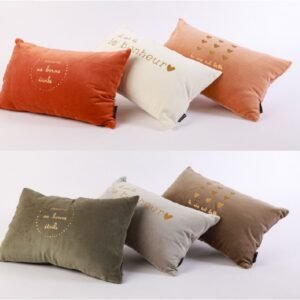 COUSSIN RECTANGLE VELOURS 30X50CM VIE ÉTOILE BONHEUR