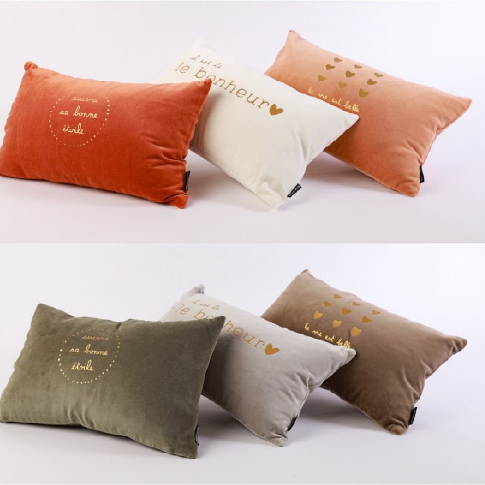 COUSSIN RECTANGLE VELOURS 30X50CM VIE ÉTOILE BONHEUR