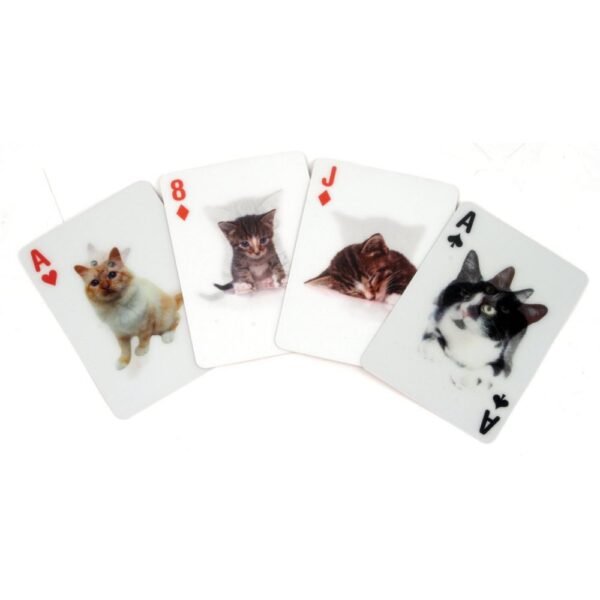 JEU DE CARTES CHAT 3D – Image 2