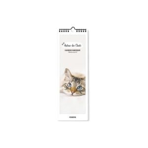 CALENDRIER ANNIVERSAIRE - AUTOUR DES CHATS
