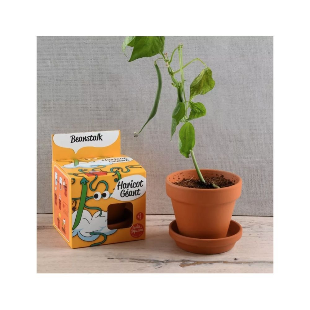 HARICOTS GEANT - PLANTES EXTRAORDINAIRES