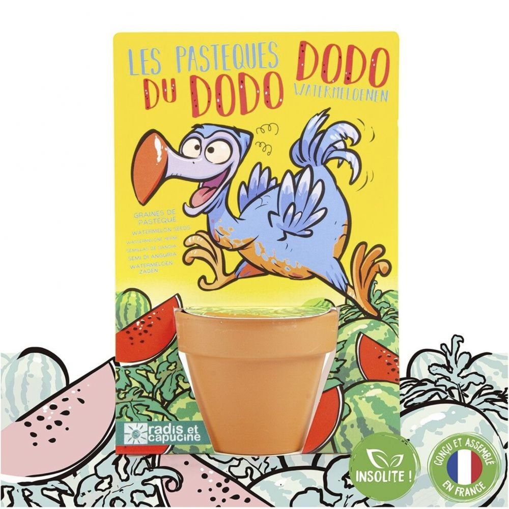 LE DODO ET SES GRAINES DE PASTEQUE A SEMER
