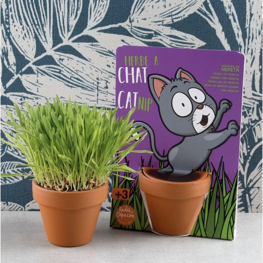 HERBE A CHAT