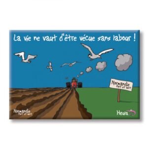 MAGNET PLAT - SANS LABOUR