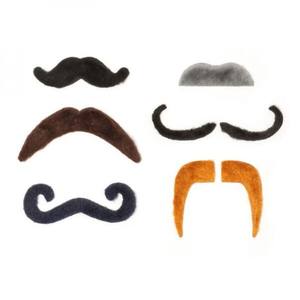 6 FAUSSES MOUSTACHES