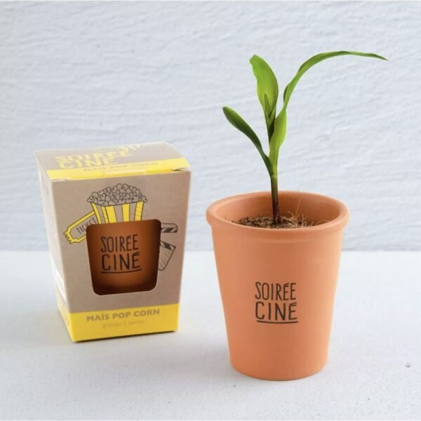 SOIRÉE CINÉ - MAIS À POPCORN À FAIRE POUSSER