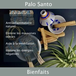PALO SANTO