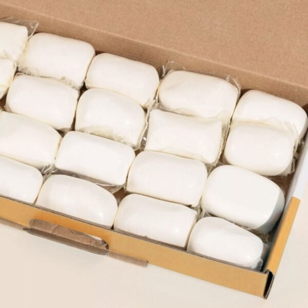 NETTOYANT SOL EN DOSETTES X20 – Image 2