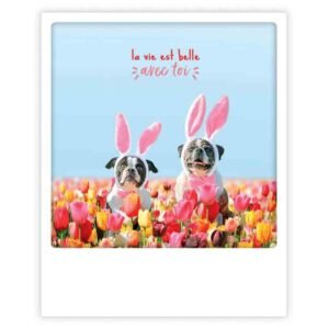 LA VIE EST BELLE AVEC TOI