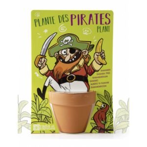 BANANIER A PLANTER PIRATE