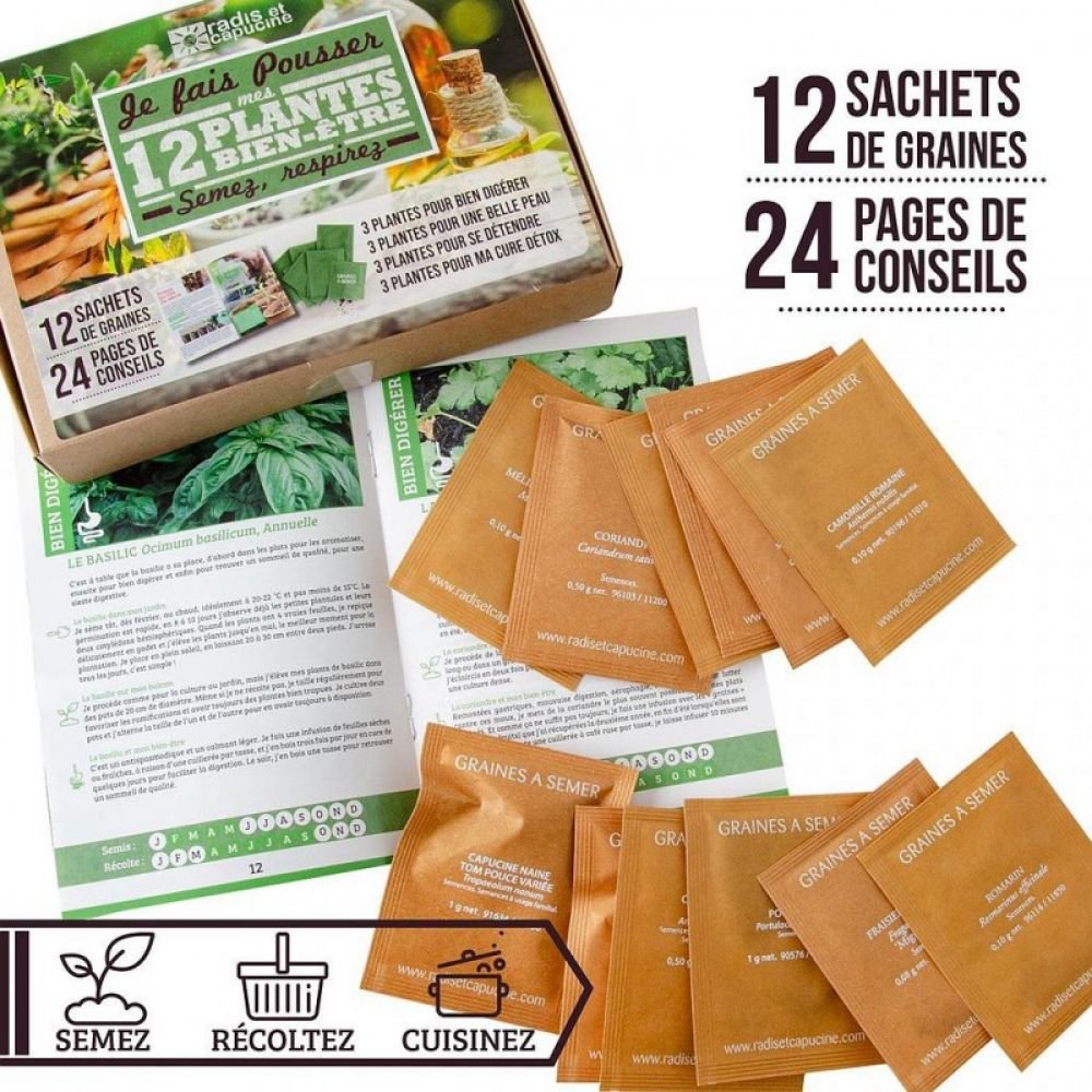COFFRET 12 SACHETS PLANTES BIEN-ETRE – Image 2
