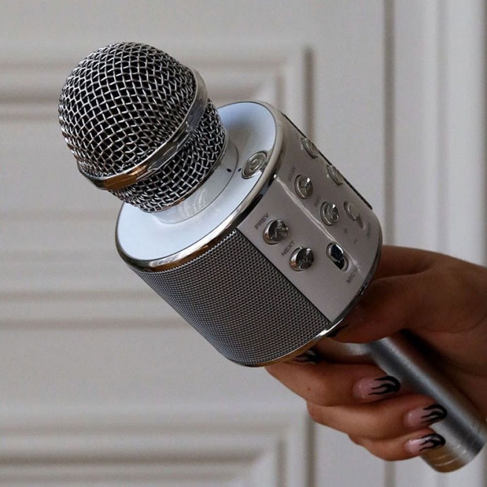 MICRO ENCEINTE KARAOKE