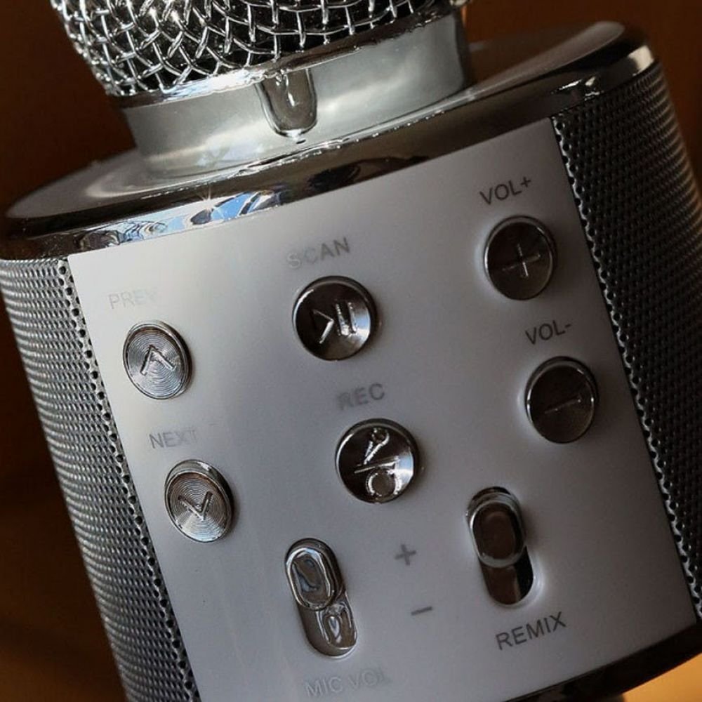 MICRO ENCEINTE KARAOKE – Image 2