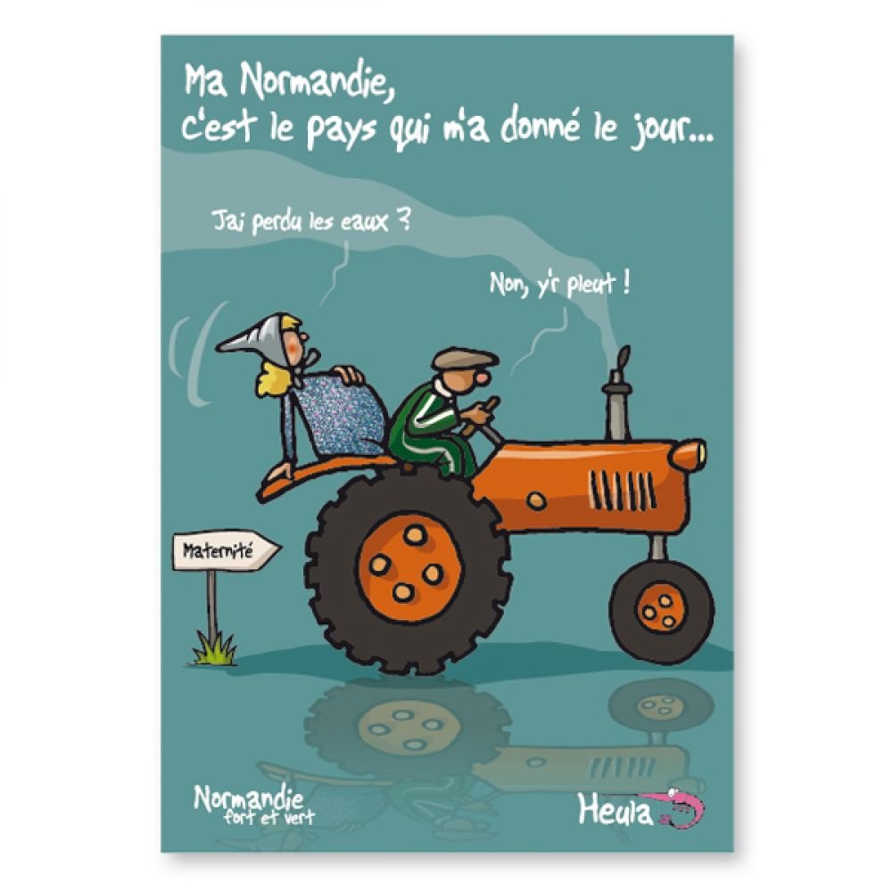 CARTE POSTALE - DONNE LE JOUR