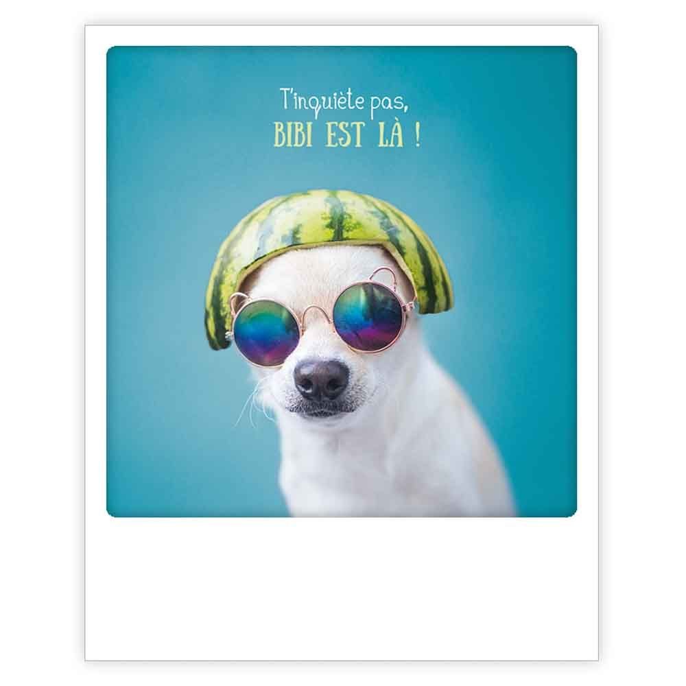T'INQUIETE PAS BIBI EST LA