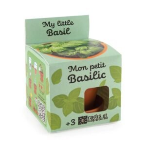 BASILIC - POT TERRE CUITE 8CM