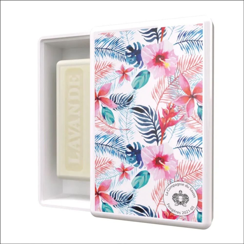 FOUGERES BOITE A SAVON