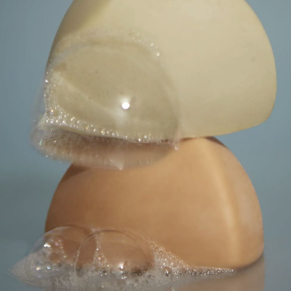 SHAMPOING SOLIDE LE GÉNÉREUX ( CHEVEUX SECS) – Image 2
