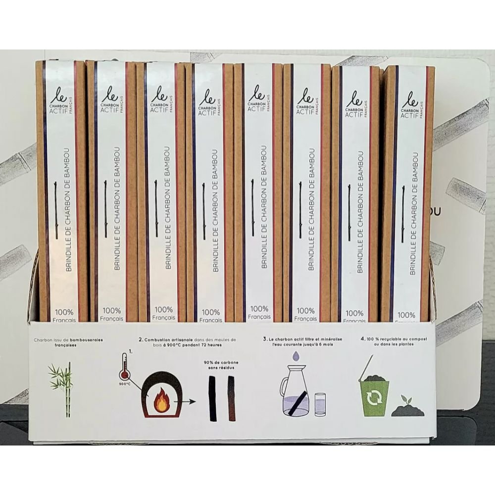 Brindille de charbon