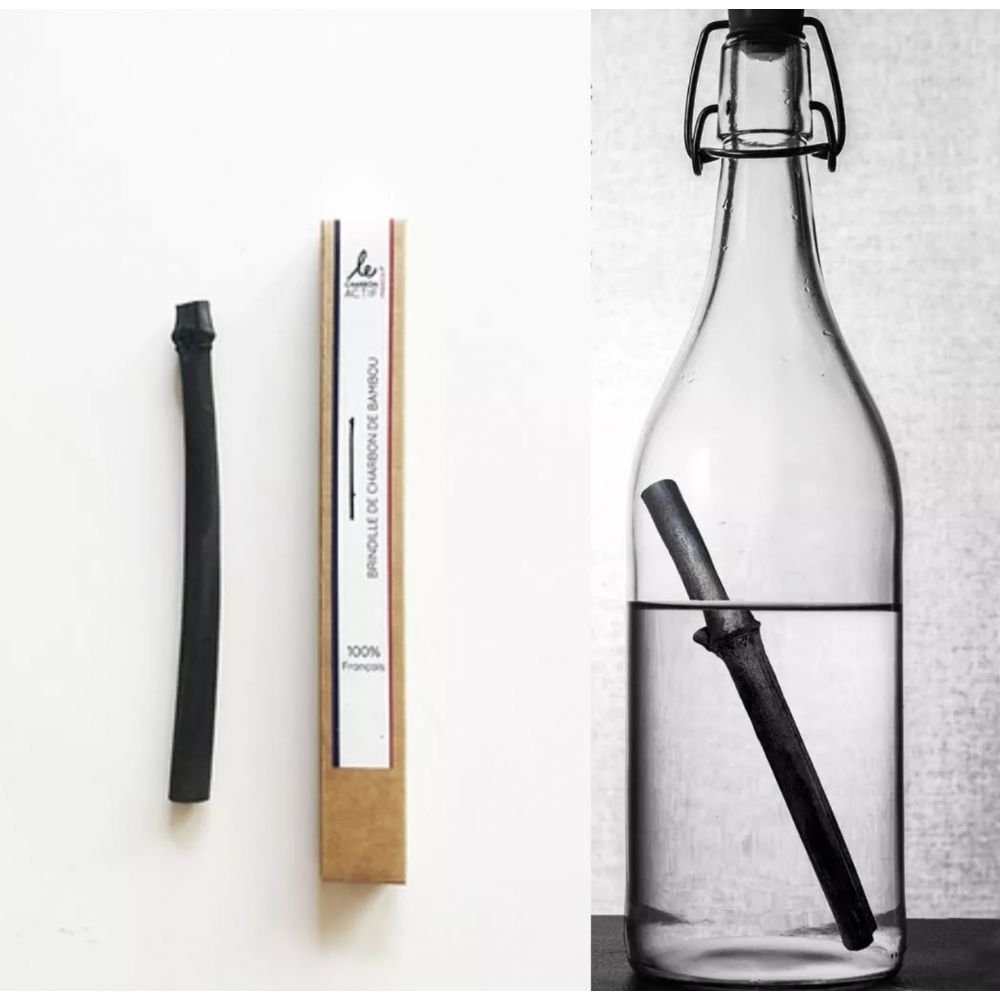 Brindille de charbon – Image 2