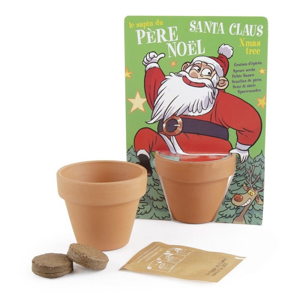 CARTE NATURE PÈRE NOEL - EPICÉA