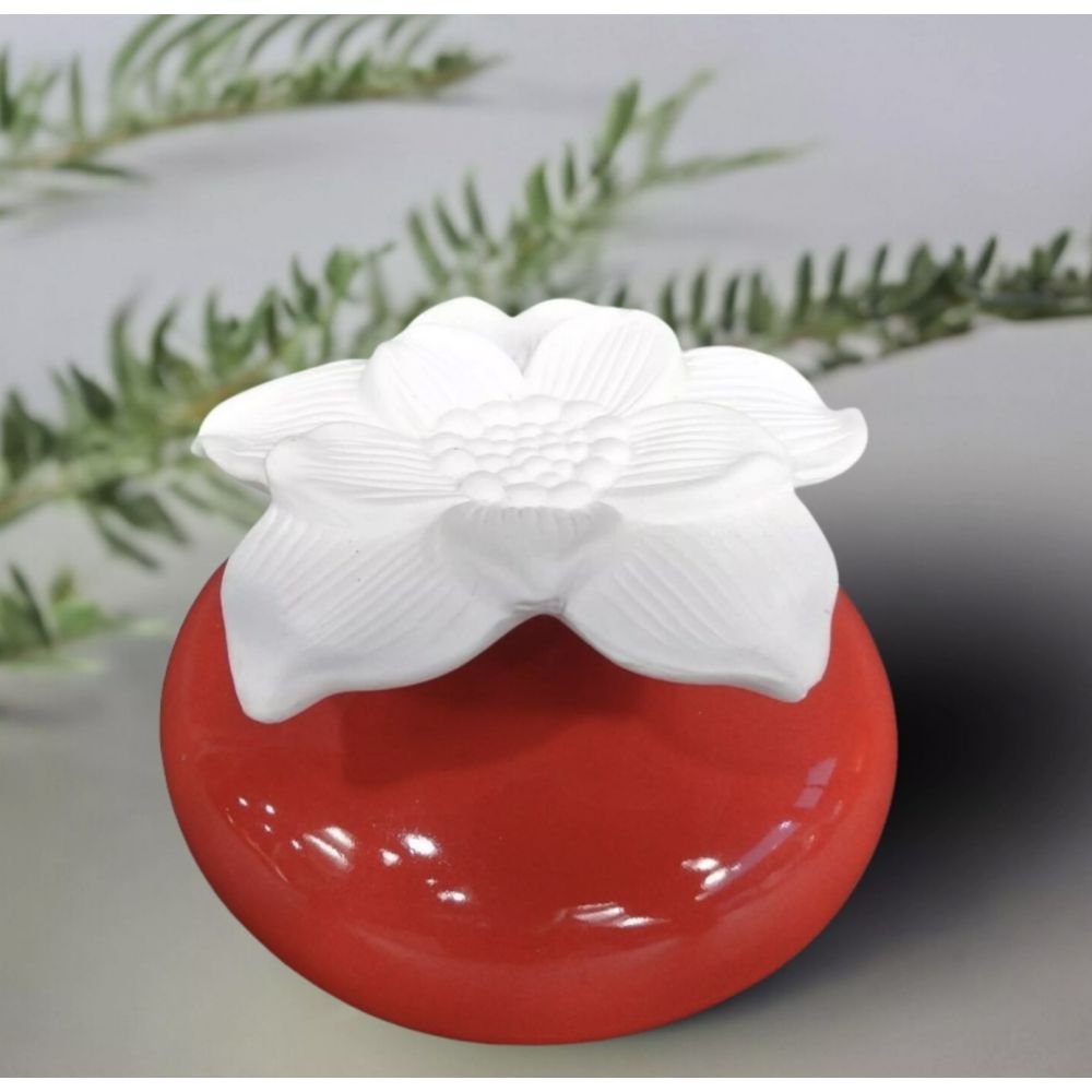 DIFFUSEUR PAR CAPILLARITÉ ROUGE&FLEURS