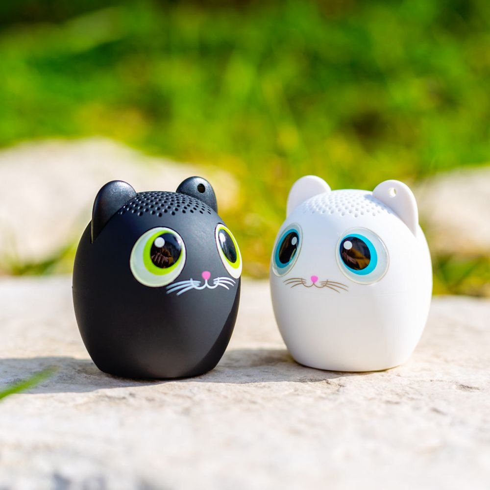 ENCEINTE BLUETOOTH - CHAT NOIR SING SONG 2 – Image 3