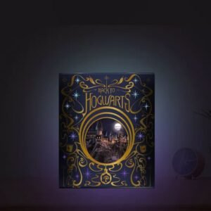 Harry Potter - Lanterne lumineuse