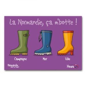 CARTE POSTALE - CA M'BOTTE