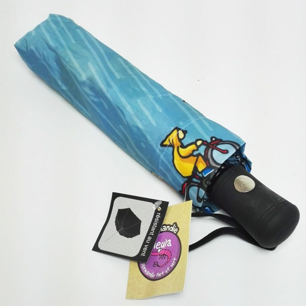 PARAPLUIE - PLUVIEUX – Image 2