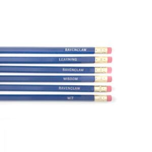 LOT DE 6 CRAYONS - SERDAIGLE