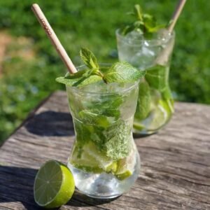 MEILLEUR VERRE A MOJITO DU MONDE