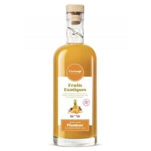 PLANTEUR FRUITS EXOTIQUES