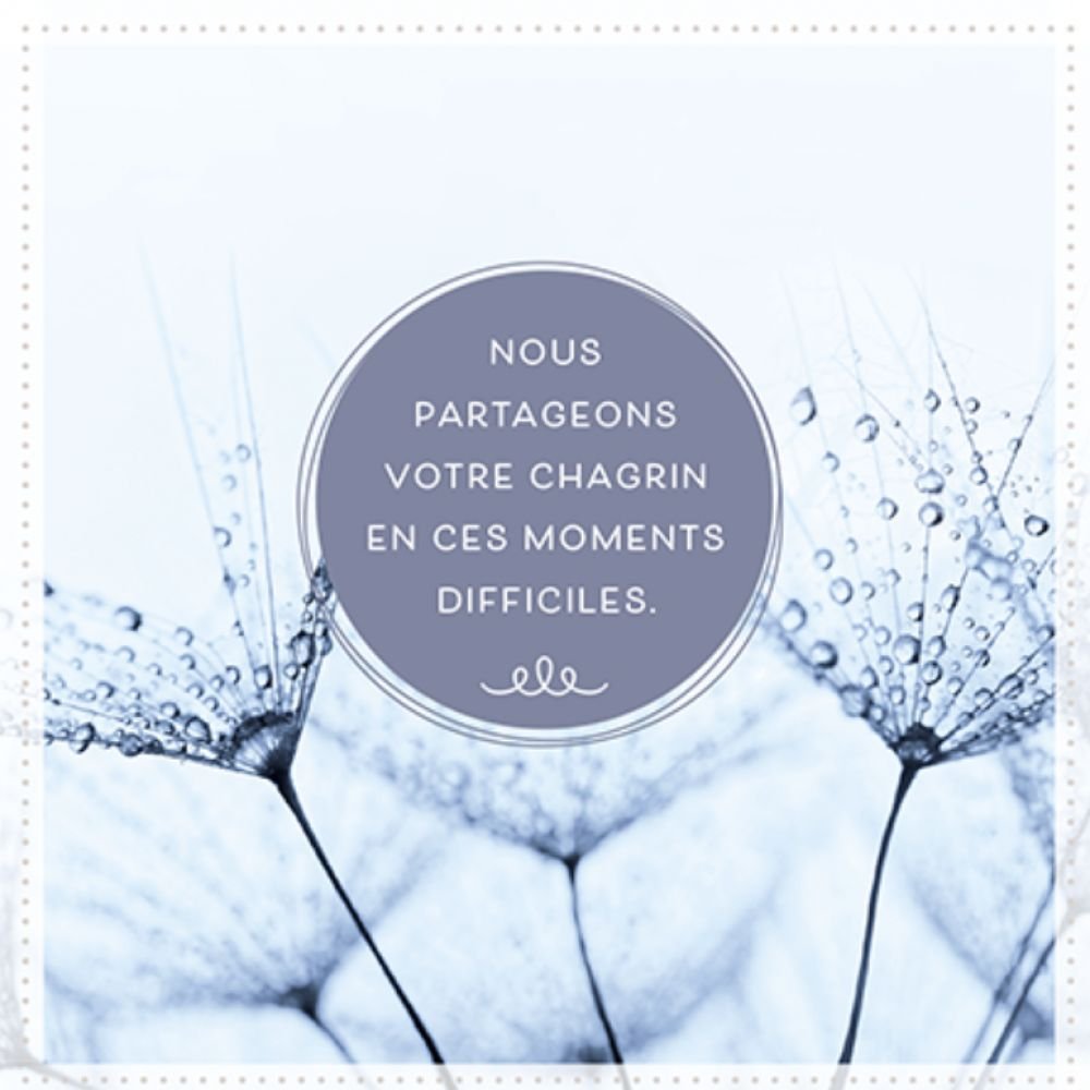 NOUS PARTAGEONS VOTRE CHAGRIN
