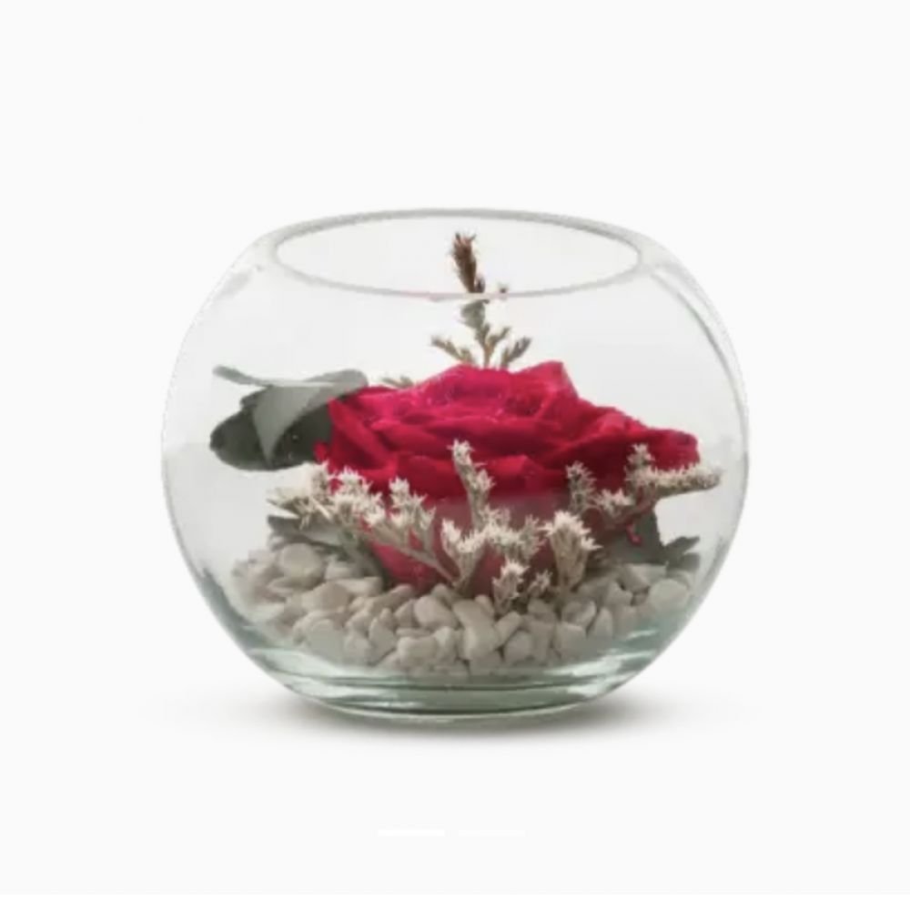 VERRINE STAB - VENEZIA 13cm - ROUGE (EUCALYPTUS)