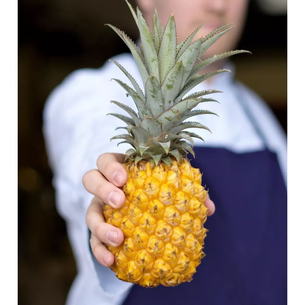 RHUM ARRANGE ANANAS VICTORIA & VANILLE BOURBON – Image 3