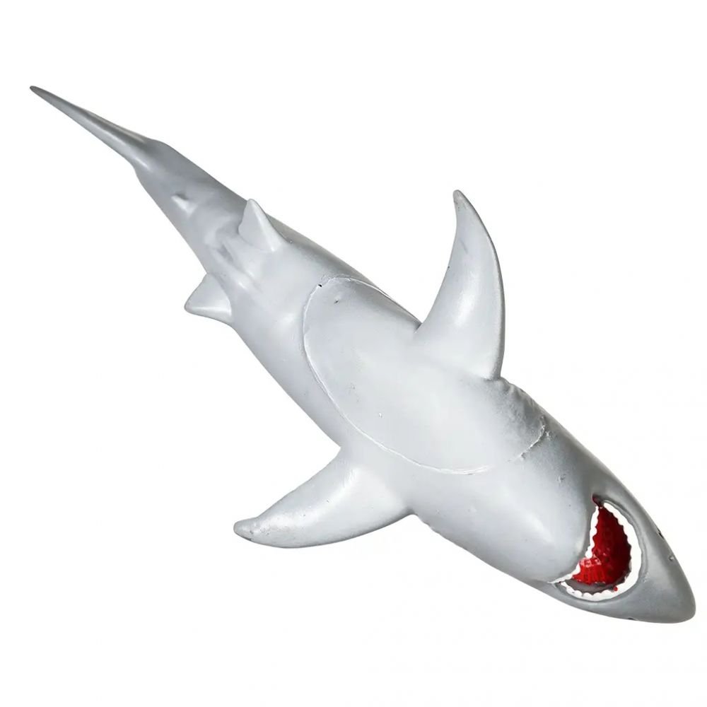 REQUIN A EAU POUR LE BAIN – Image 2