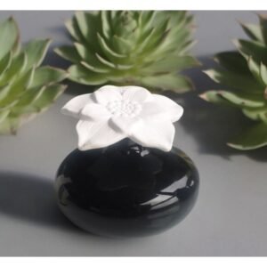 DIFFUSEUR PAR CAPILLARITÉ NOIR&FLEURS