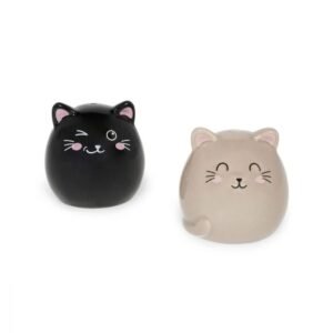 SALIERE ET POIVRIERE CHAT